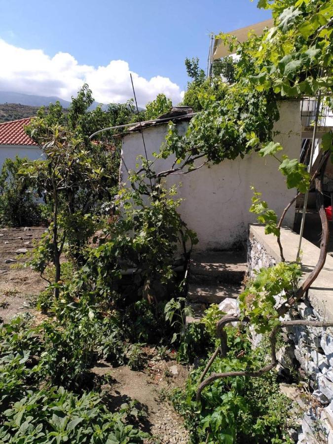 Ikaria - Village , Katsirifos Holiday home